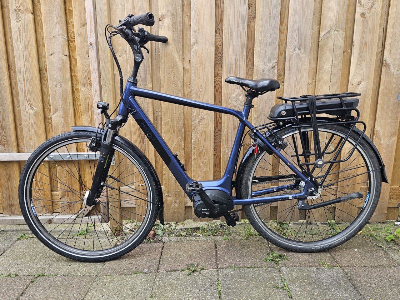 Pegasus Siena E7F+ Belt Bosch elektrische fiets 500Wh