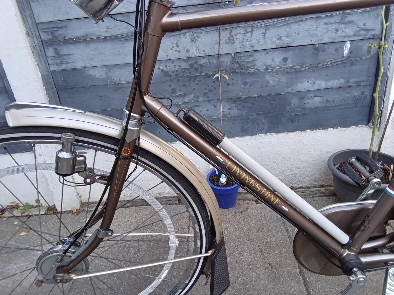 Gazelle Livingstone