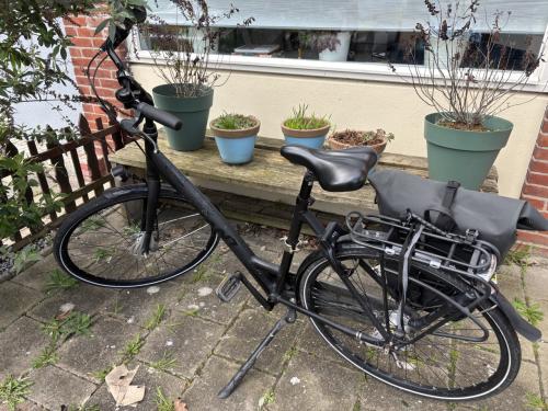 Vlissingen - Giant dames fiets
