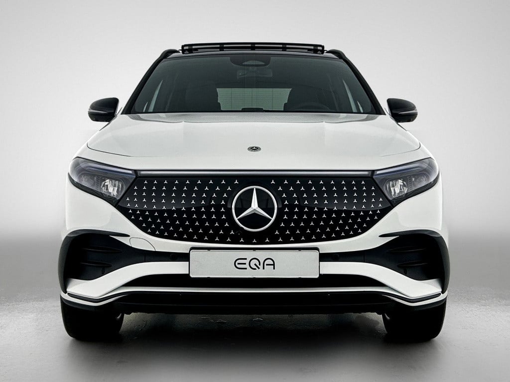 Mercedes-Benz Eqa 250+ business solution amg 71 kwh | premium pakket | trek