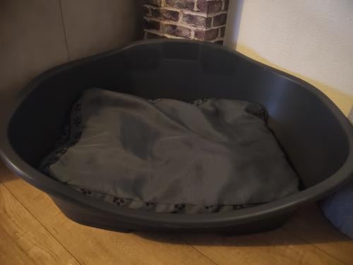 Hondenmand met kussen