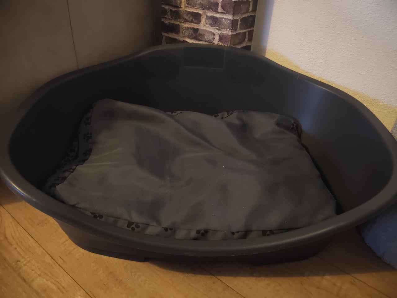 Hondenmand met kussen