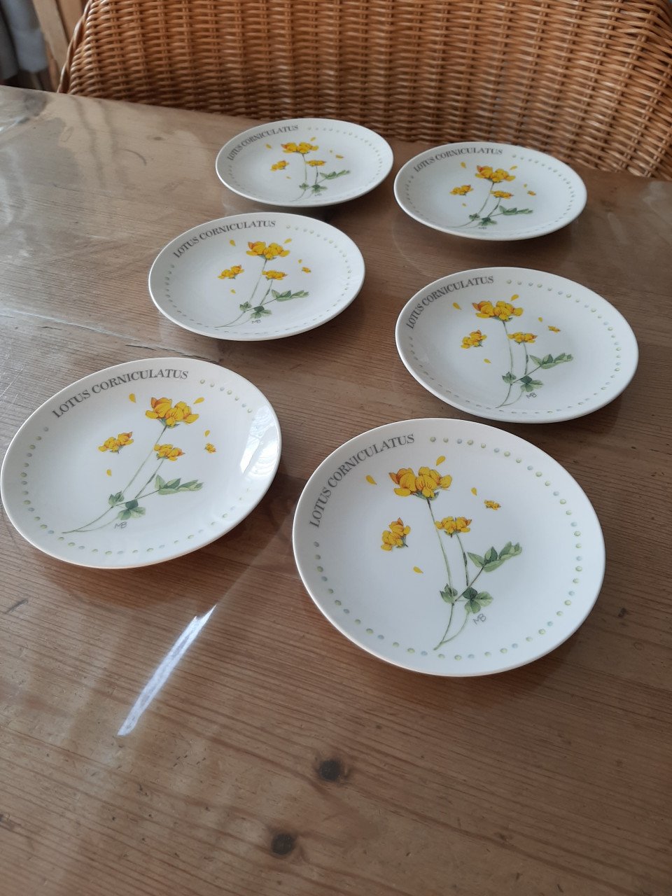 MARJOLEIN BASTIN , WILDFLOWERS - 6  PETIT FOUR BORDJES - DIA 12 CM