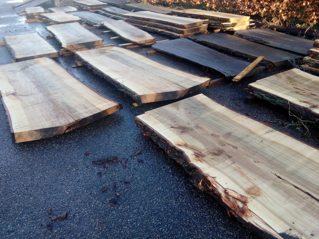 Boomstamtafels, tafelbladen planken decoratieplanken, wandplanken bar/salon
