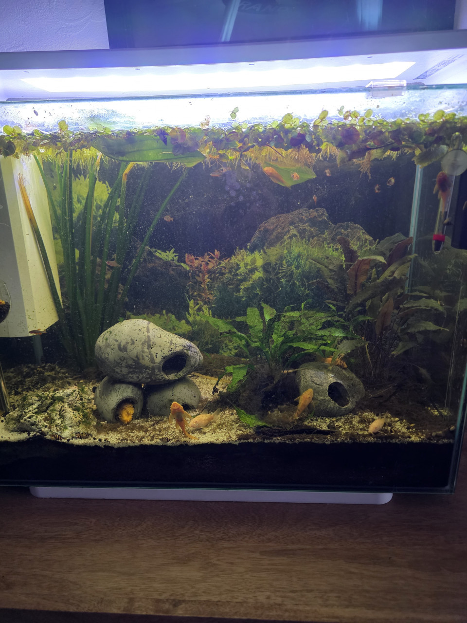 Aquarium