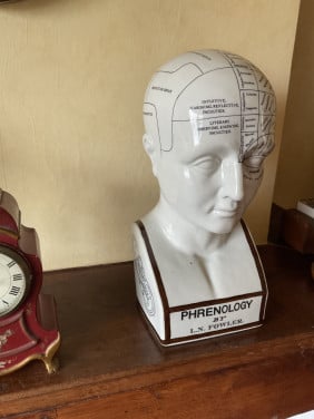 Phrenologie hoofd