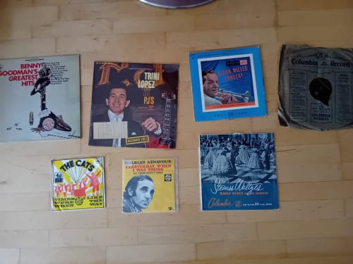 Een paar 100 LP¨s, 78 touren platen en Singles