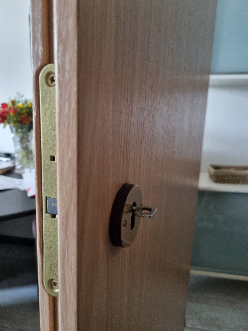 4x luxe houten opdekdeur met 1x glas totaalprijs € 30,-
