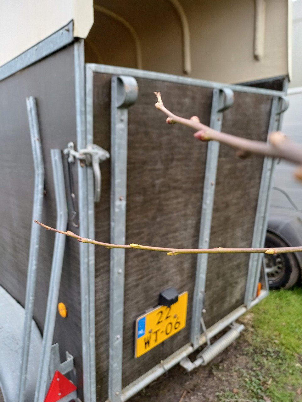 Te Koop: Nette 1 1/2 paardsrtrailer