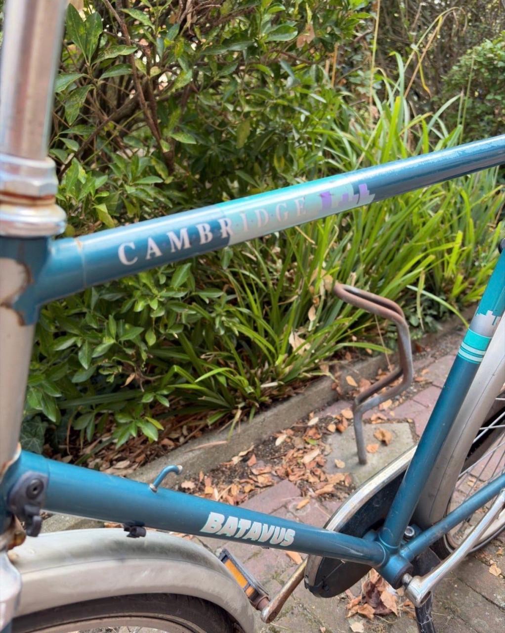 Fiets batavus Cambridge