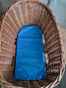 Hondenfietsmand achter