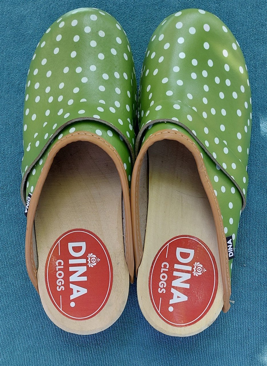 Dina klompen (clogs)