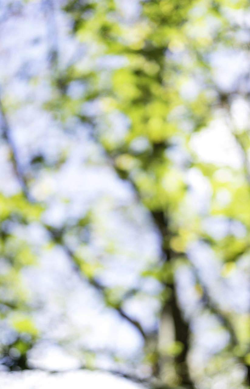 Lezing: fotograferen buiten de lijntjes