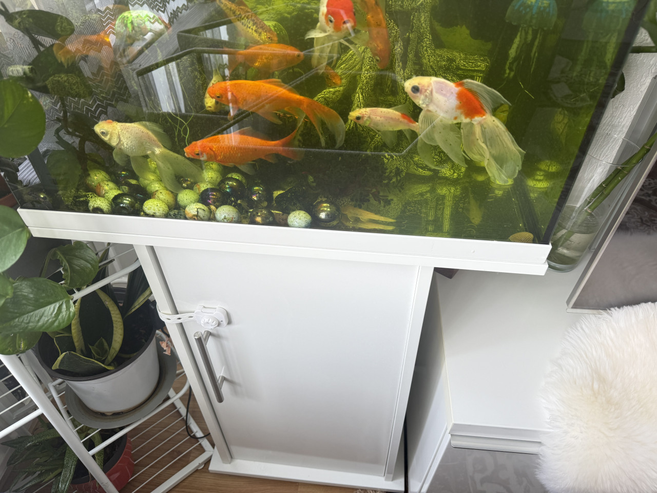 Aquarium kast in nette staat