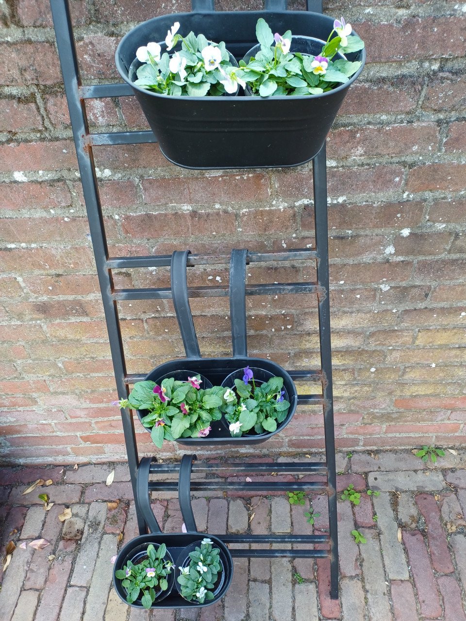 3 zwarte, metalen (ovale) HANG BLOEMBAKKEN met VIOLEN + REK