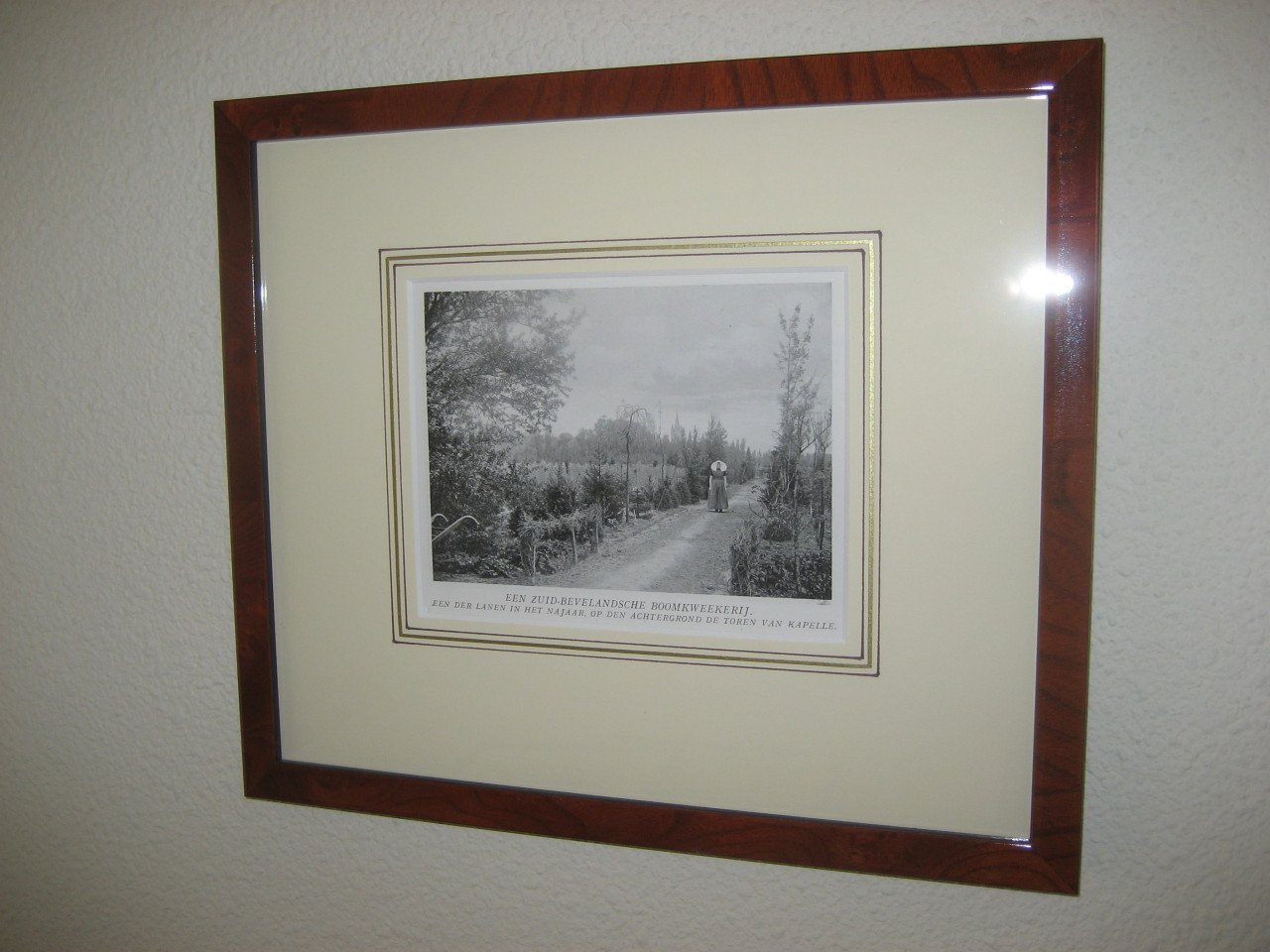Voor de liefhebber mooi ingelijste bijzondere prenten te koop (bieden)