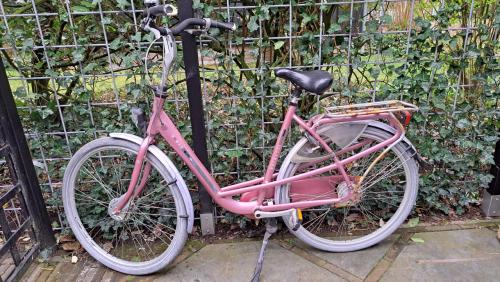 Batavus Mambo damesfiets