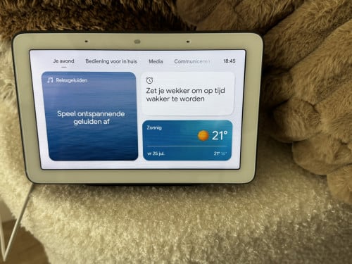 Google Nest Hub