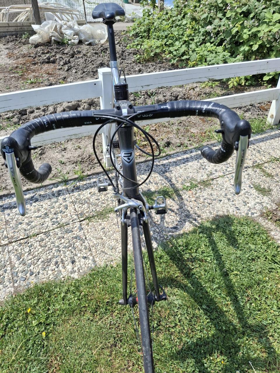 Te koop ridley