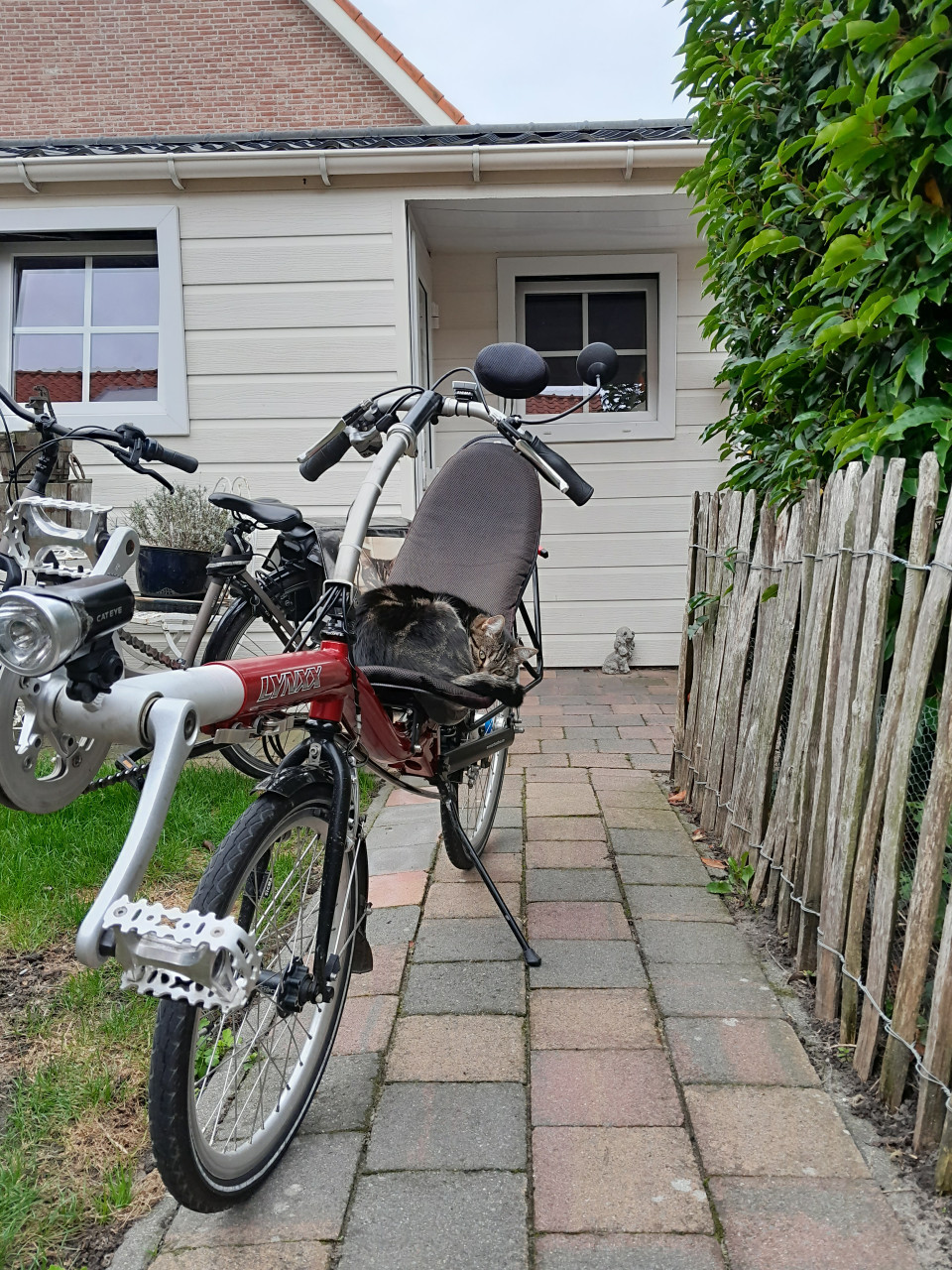 Ligfiets Optima Lynxx