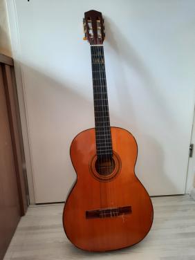 Gitaar