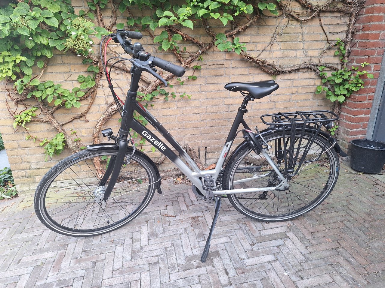 Gazelle damesfiets Chamonix Trekking T27
