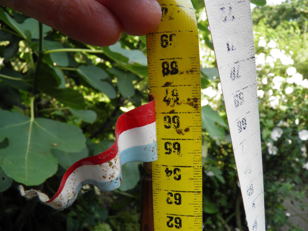 Houten vissersboot model