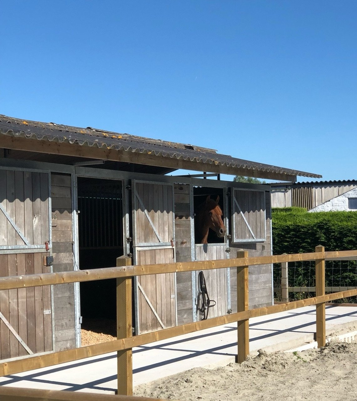 Topkwaliteit paardenstal 3x3 – Verplaatsbaar & direct inzetbaar