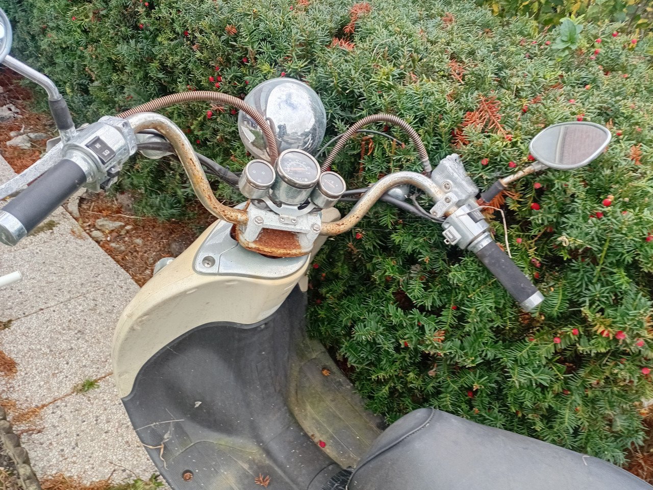 Scooter