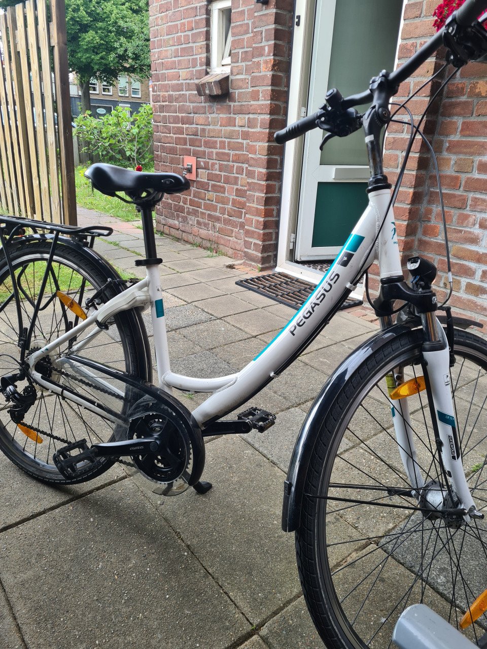 Dames fiets Pegasus