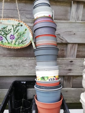 Plantenpotjes, ophalen voor symbolisch bedrag van 1,50 euro
