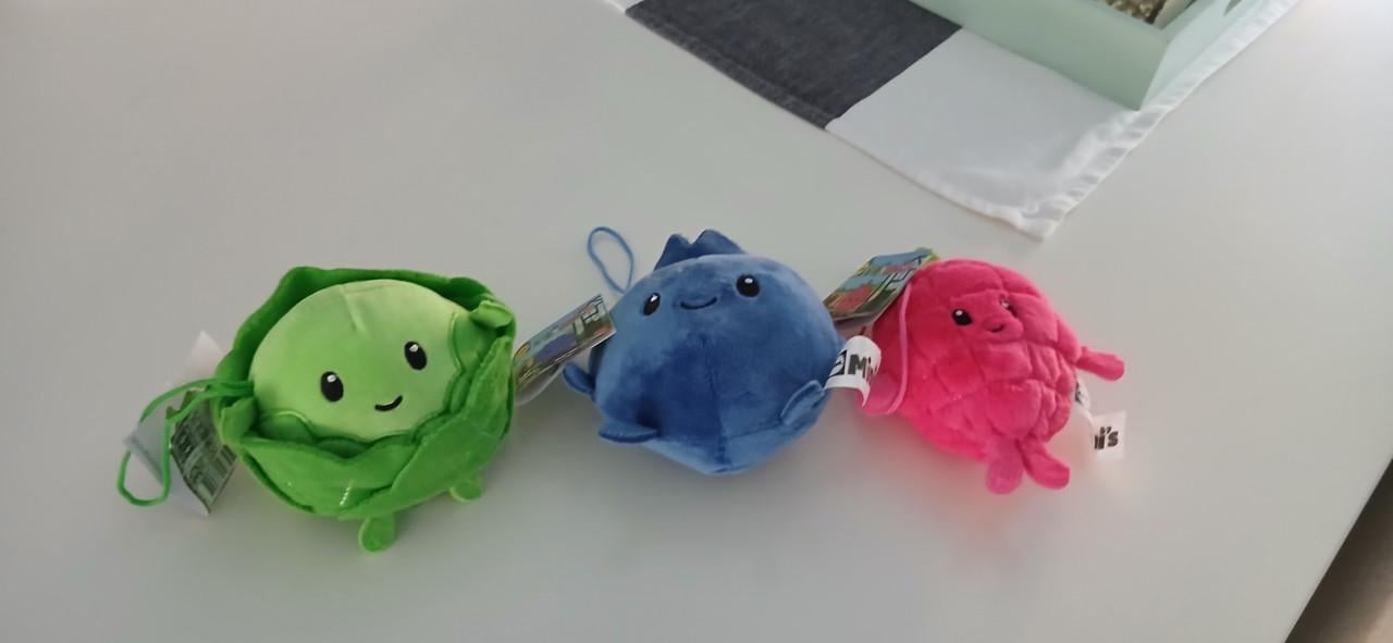 Lidl mini,s gratis voor kind tot 10 jr