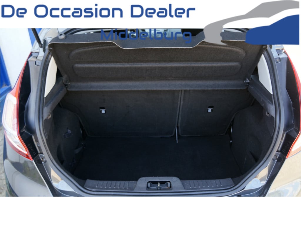 Ford Fiesta 1.0 ecoboost titanium rijklaar incl garantie
