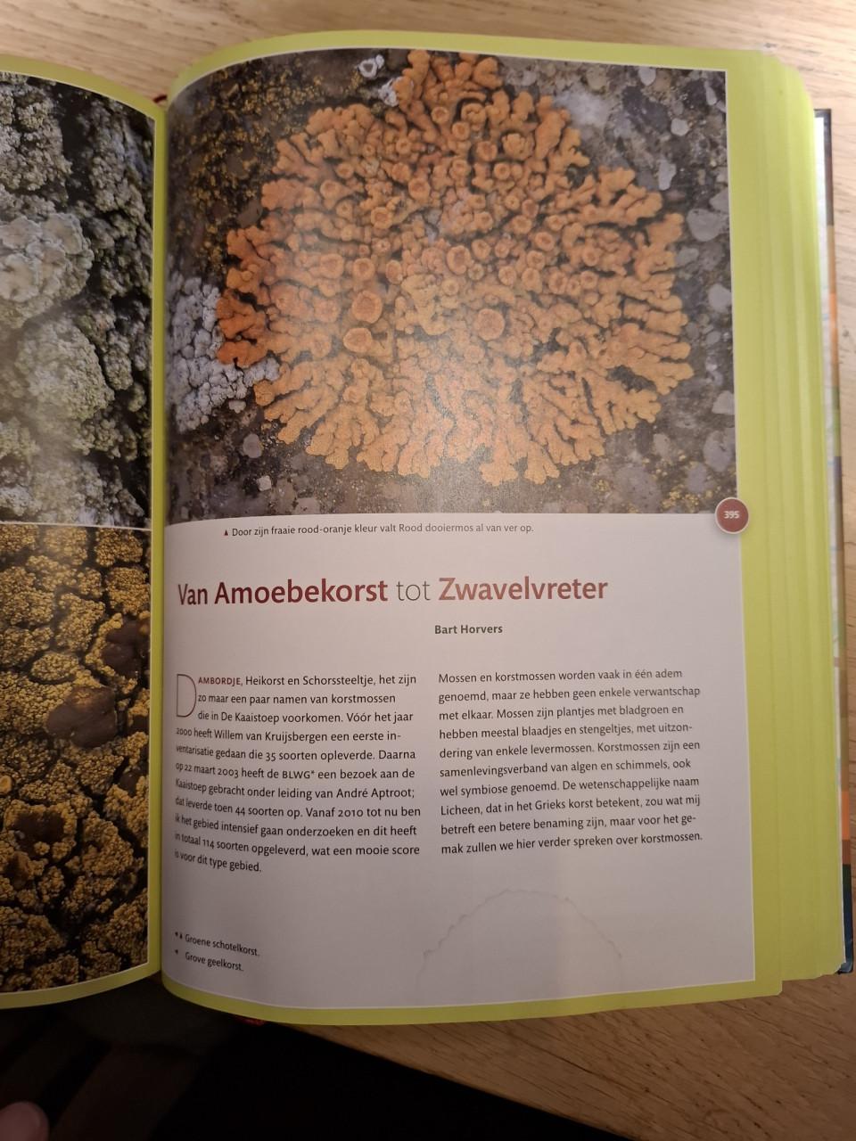 De Kaaistoep, het best onderzochte stuk natuur in Nederland, KNNV Tilburg