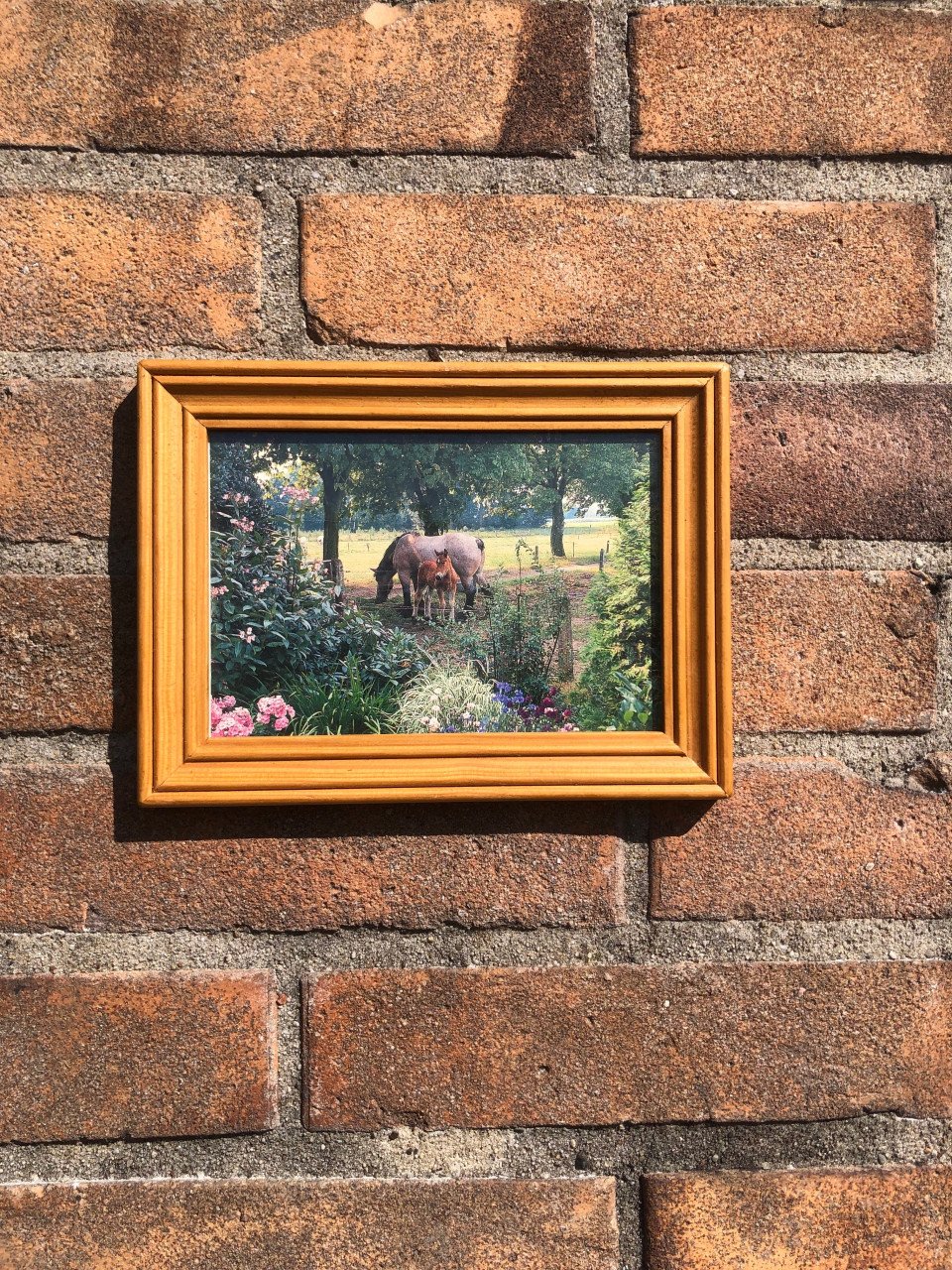 Lijstje met paarden.