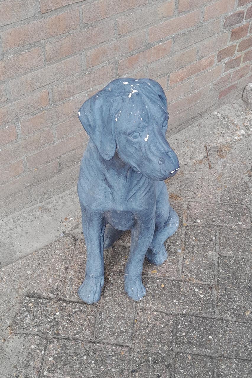 Beeld van  hond d.grijs ,weerbestendig
