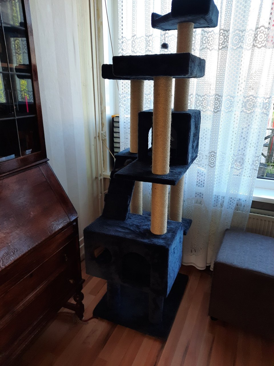 Complete katten uitset