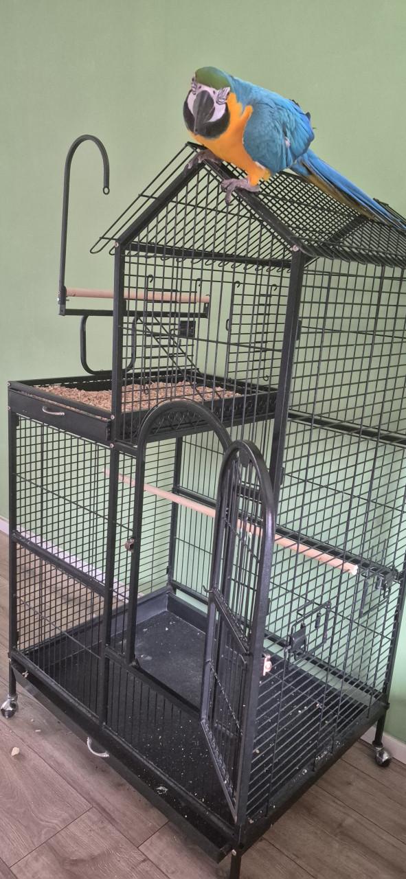 Vogel/papegaaien villa izgst