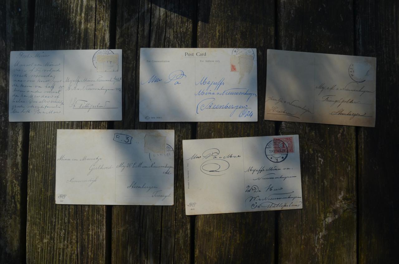 11 Ansichten Dieren vnl. Paarden begin 20e eeuw.