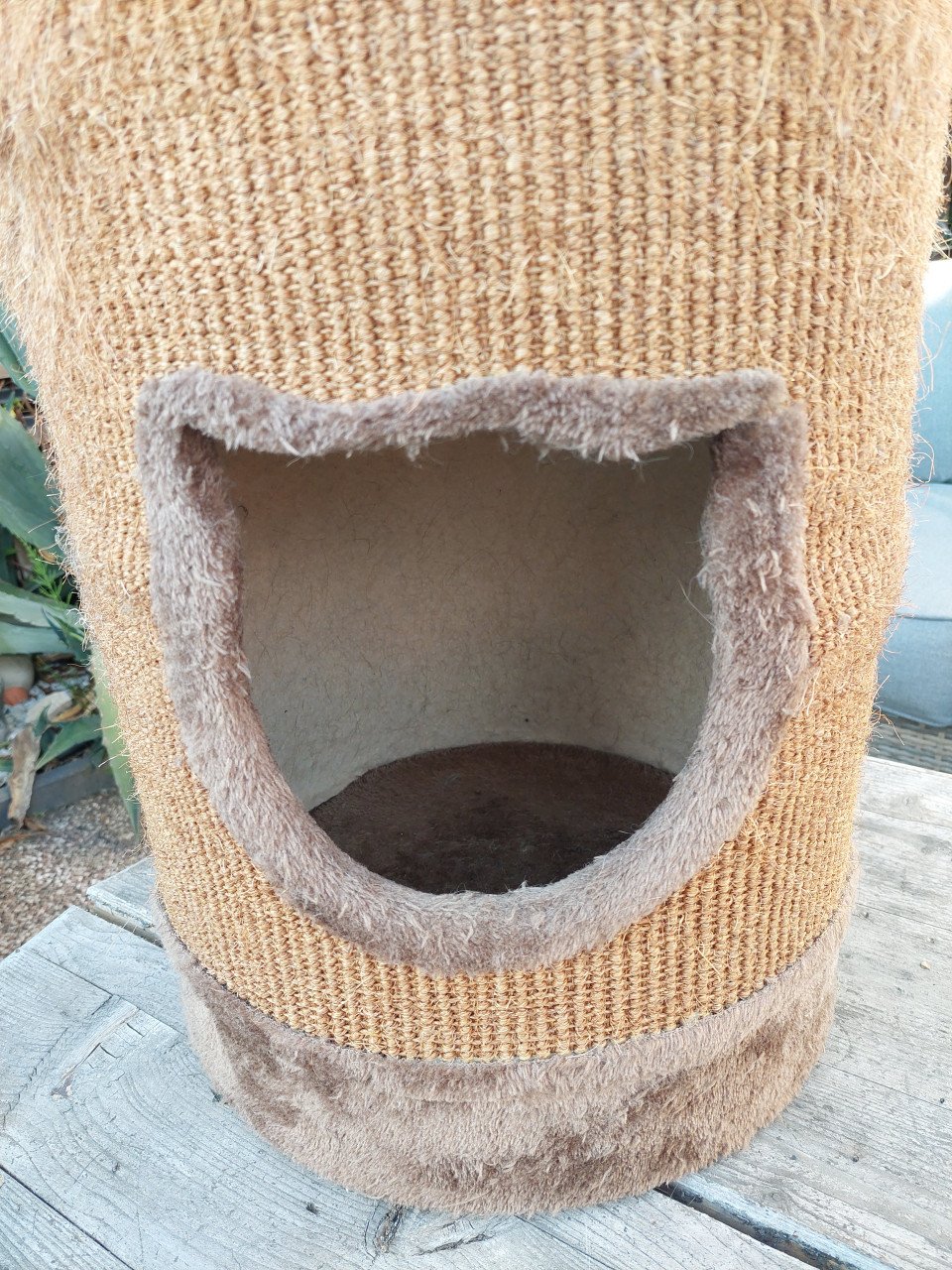 Katten/poezen krabton camelkleur