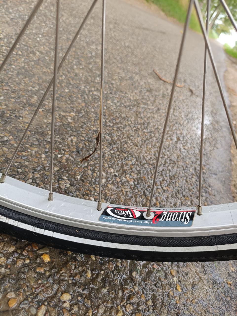 Sparta dames fiets