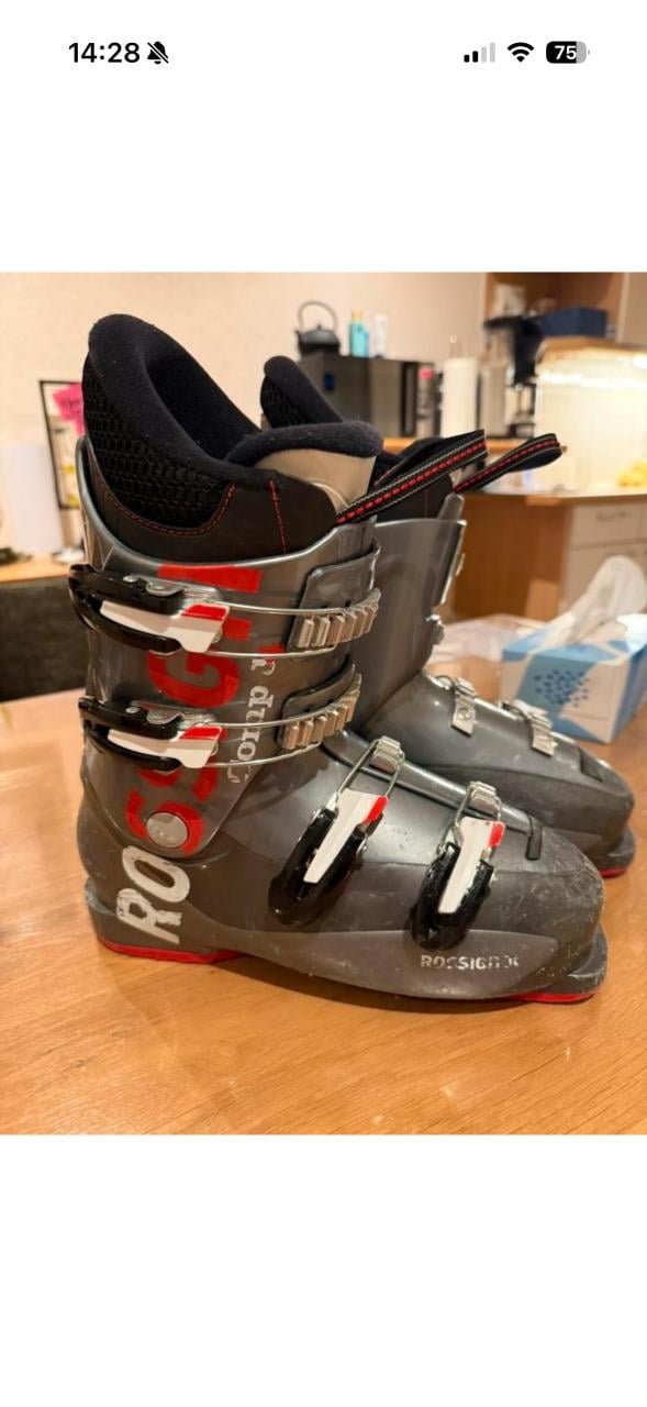 Skischoen rossignol 25,0-25,5 maat 39/40