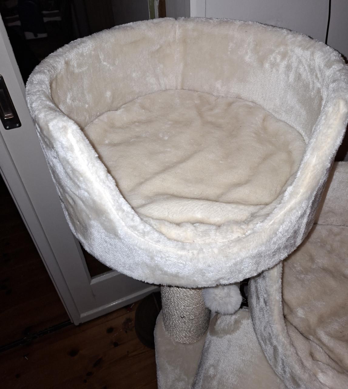 PETREBELS KRABPAAL VICTORIA 125