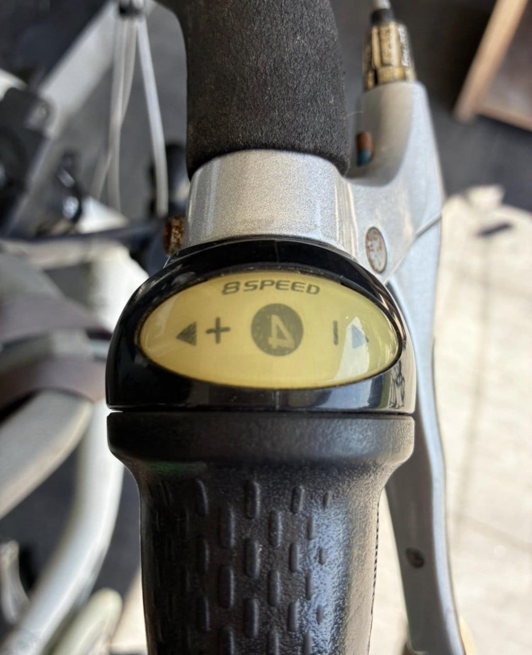 Gazelle Bloom moederfiets