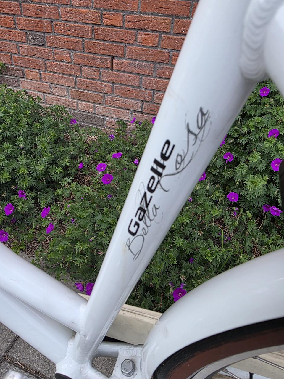 GAZELLE | BELLE ROSA 28 INCH | 56 CM | NEXUS 3