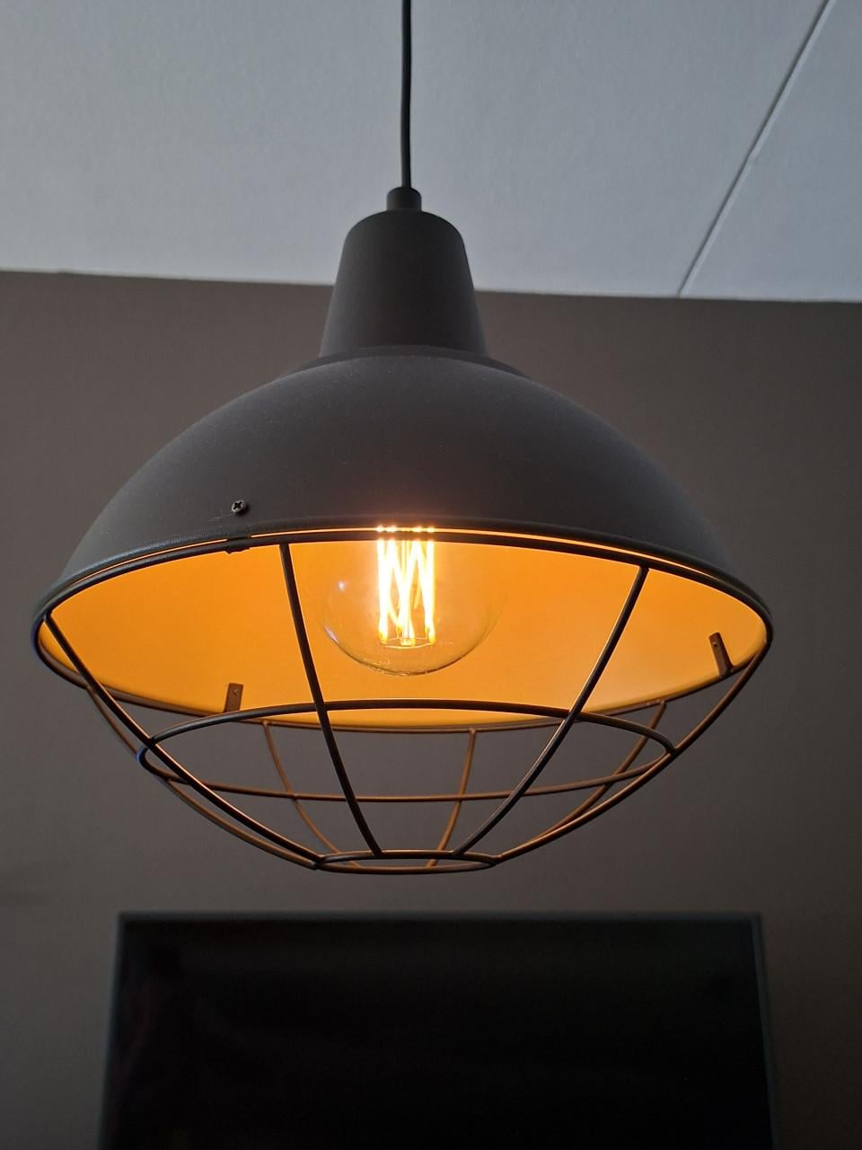 2x Hanglamp- Industrieel ontwerp- inclusief dimbare led lamp.