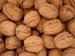 Walnotenboom Juglans Regia 12 cm stam