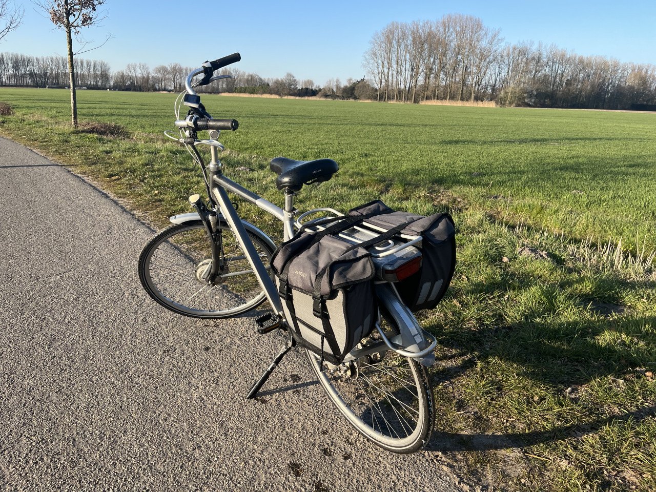Electrische herenfiets Batavus