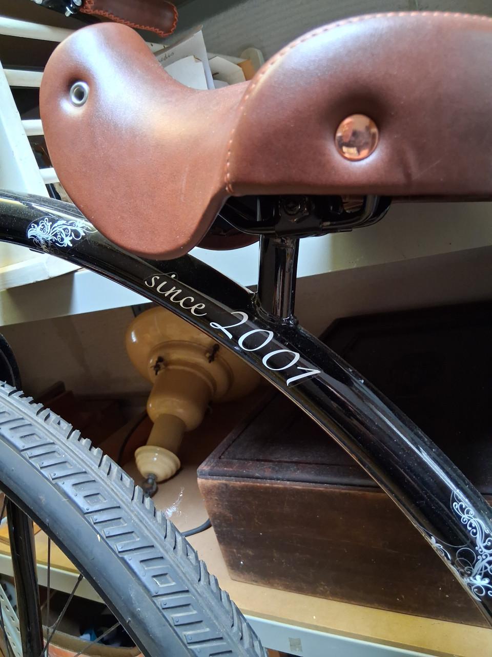 Jongens fiets