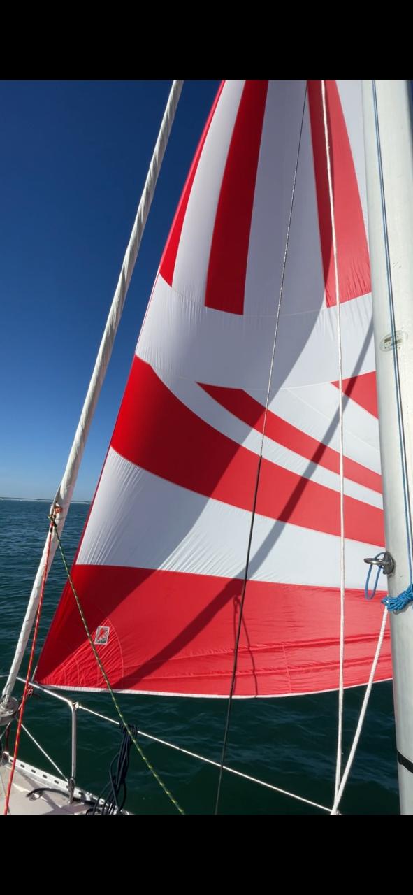 Diverse spinnakers, gennaker en genua